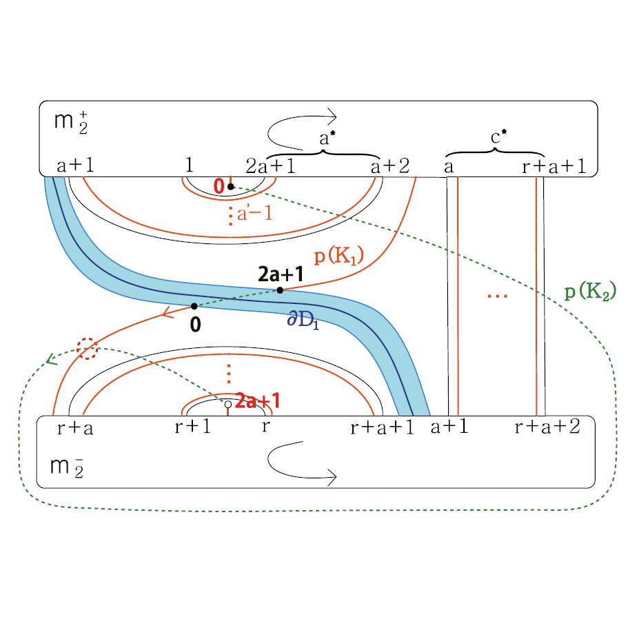 Quantum Algebra & Quantum Topology Hyeran Cho Department of Mathematics