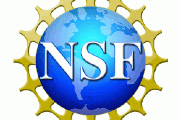 NSF Logo NSF Logo