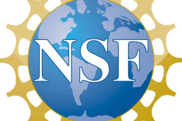 nsf_logo Hans Wenzl